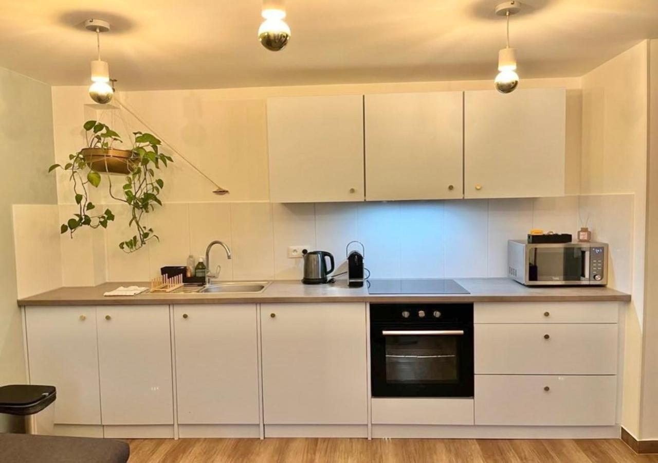 Appartement 2P Strasbourg Centre Ngoại thất bức ảnh